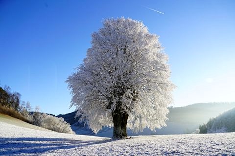 Towards entry "Start of Winter Term 2024/25"